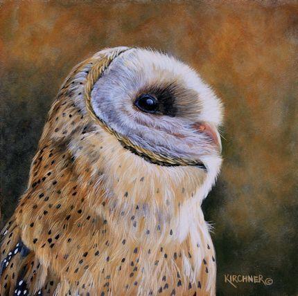 Barn Owl, Barn Owl Painting, Barn Owl Art, Nature Art, Bird Of Prey, Bird Of Prey Art, Bird Of prey Painting, Leslie Kirchner Art, Leslie Kirchner Leslie Kirchner, Bird Of Prey Art, Bird Of Prey Painting, Owl, Owl Art, Owl Painting